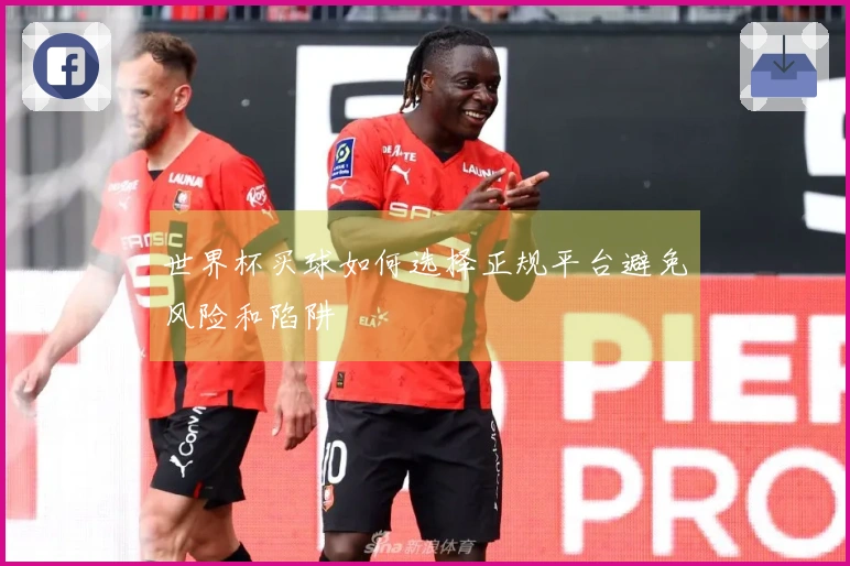 世界杯买球如何选择正规平台避免风险和陷阱
