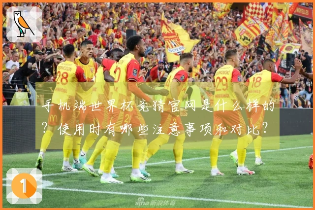 手机端世界杯竞猜官网是什么样的？使用时有哪些注意事项和对比？