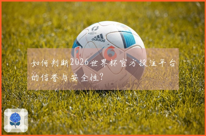 如何判断2026世界杯官方投注平台的信誉与安全性？