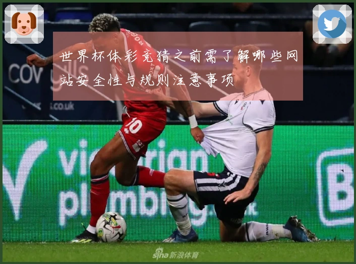 世界杯体彩竞猜之前需了解哪些网站安全性与规则注意事项