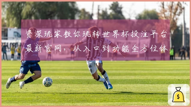资深玩家教你玩转世界杯投注平台最新官网，从入口到功能全方位体验
