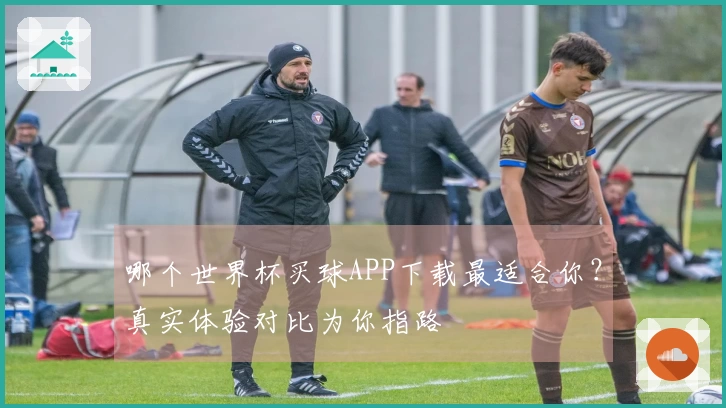 哪个世界杯买球APP下载最适合你？真实体验对比为你指路