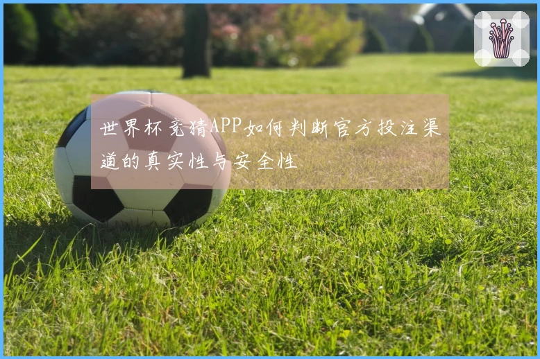 世界杯竞猜APP如何判断官方投注渠道的真实性与安全性