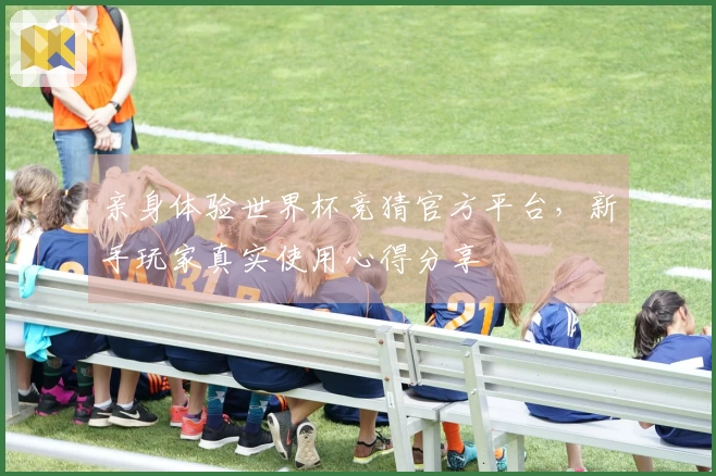 亲身体验世界杯竞猜官方平台，新手玩家真实使用心得分享