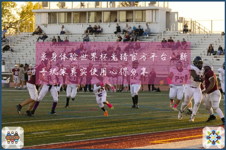 亲身体验世界杯竞猜官方平台，新手玩家真实使用心得分享