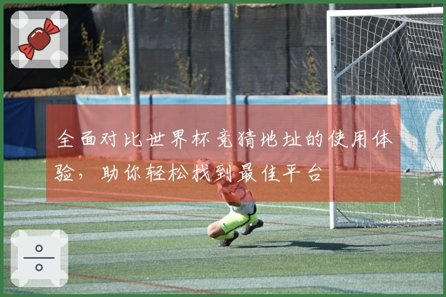 全面对比世界杯竞猜地址的使用体验，助你轻松找到最佳平台