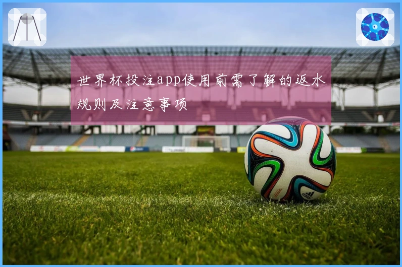 世界杯投注app使用前需了解的返水规则及注意事项