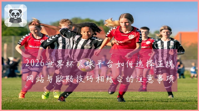 2026世界杯买球平台如何选择正规网站与欧赔技巧相结合的注意事项