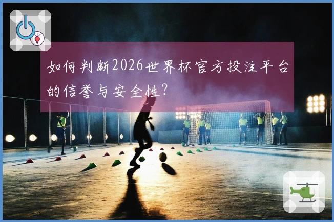 如何判断2026世界杯官方投注平台的信誉与安全性？