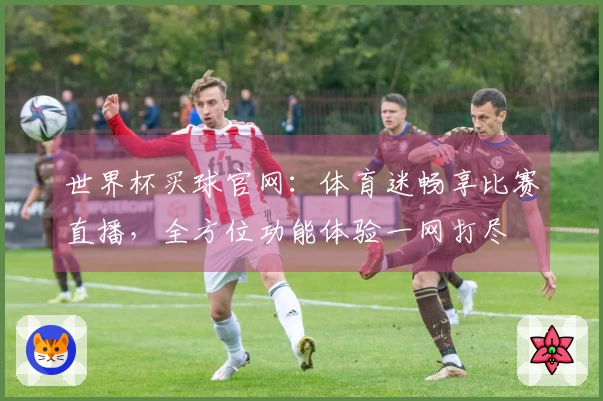 世界杯买球官网:体育迷畅享比赛直播,全方位功能体验一网打尽