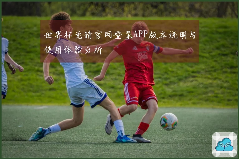世界杯竞猜官网登录APP版本说明与使用体验分析