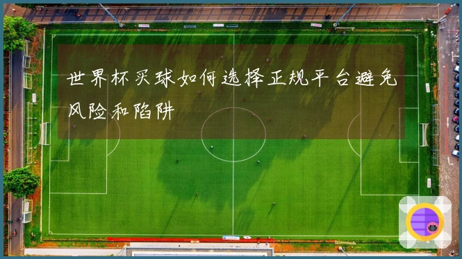 世界杯买球如何选择正规平台避免风险和陷阱