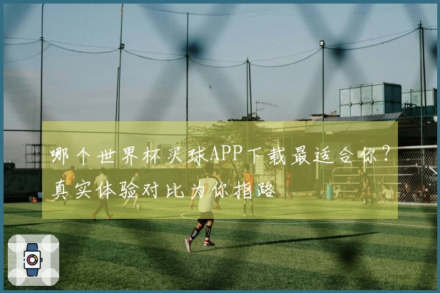 哪个世界杯买球APP下载最适合你？真实体验对比为你指路